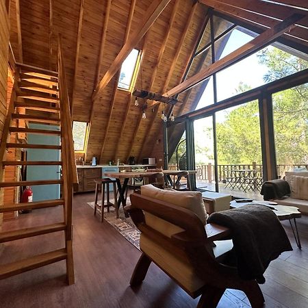 Panurlawoodenhouse Oezel Havuz& Sauna Mavi מראה חיצוני תמונה