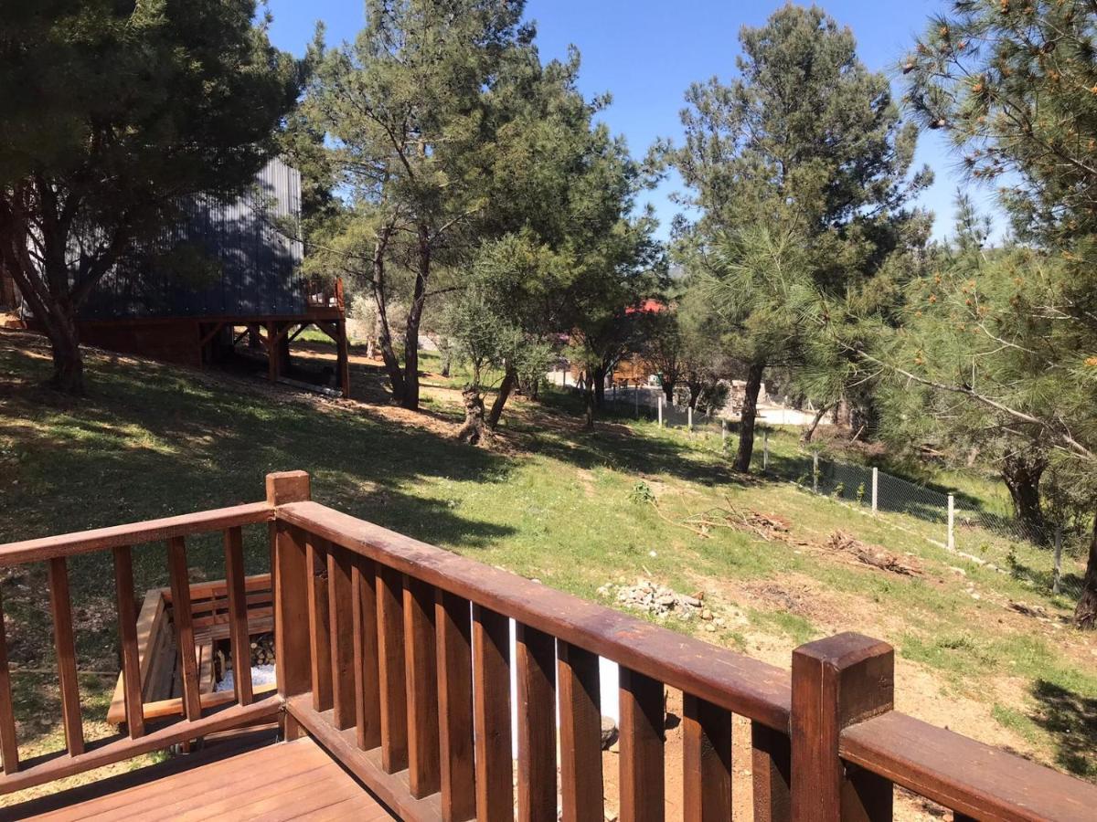 Panurlawoodenhouse Oezel Havuz& Sauna Mavi מראה חיצוני תמונה