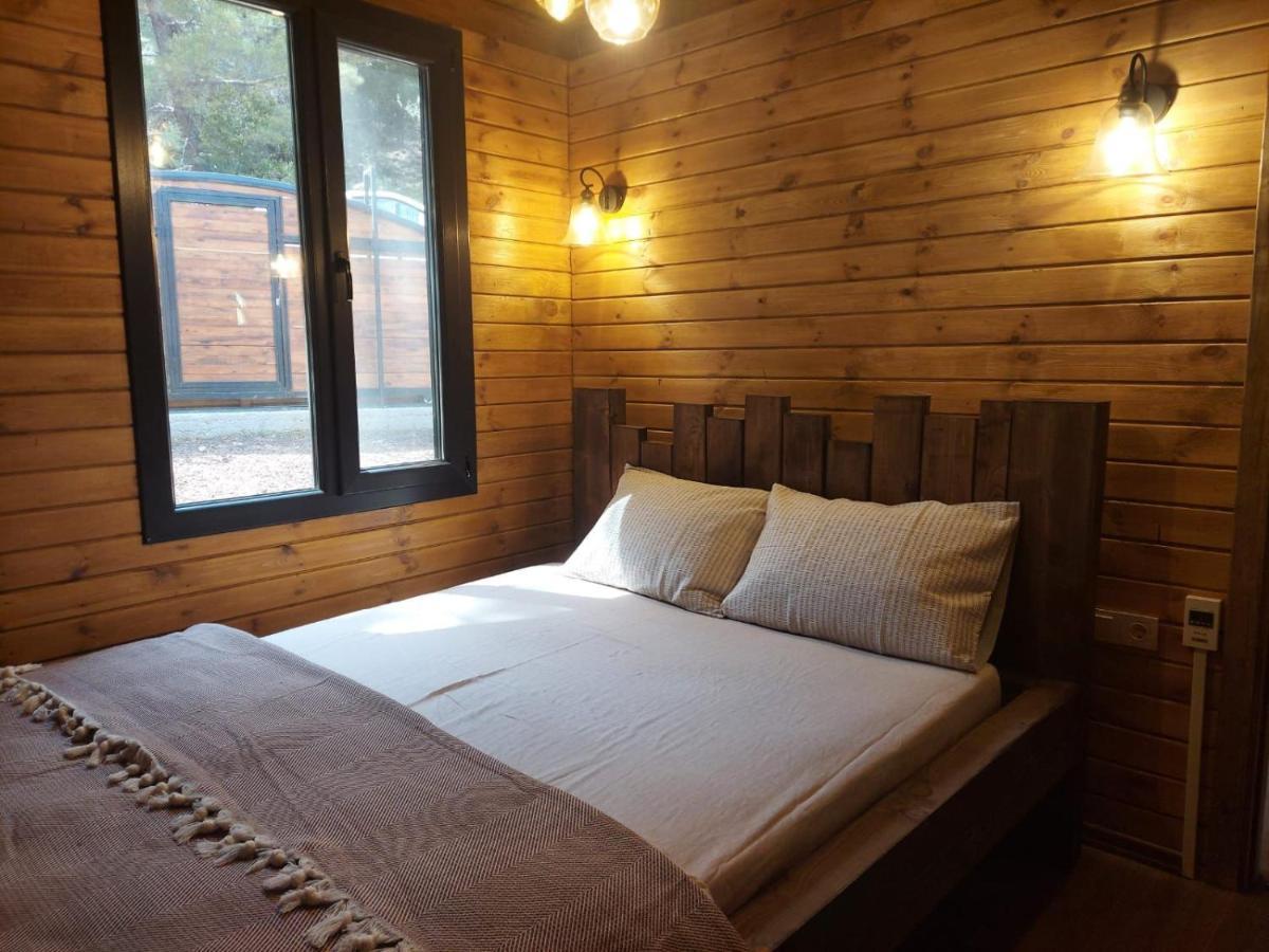 Panurlawoodenhouse Oezel Havuz& Sauna Mavi מראה חיצוני תמונה