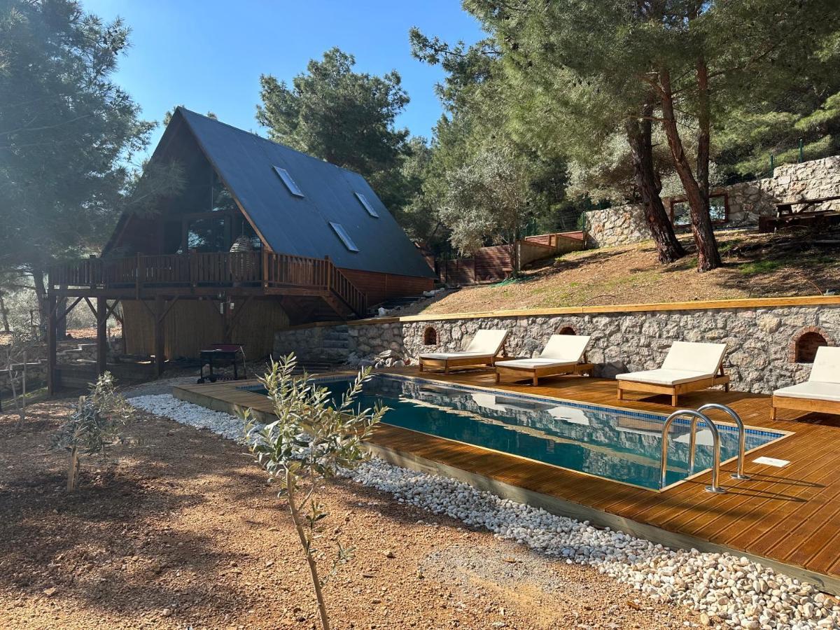Panurlawoodenhouse Oezel Havuz& Sauna Mavi מראה חיצוני תמונה