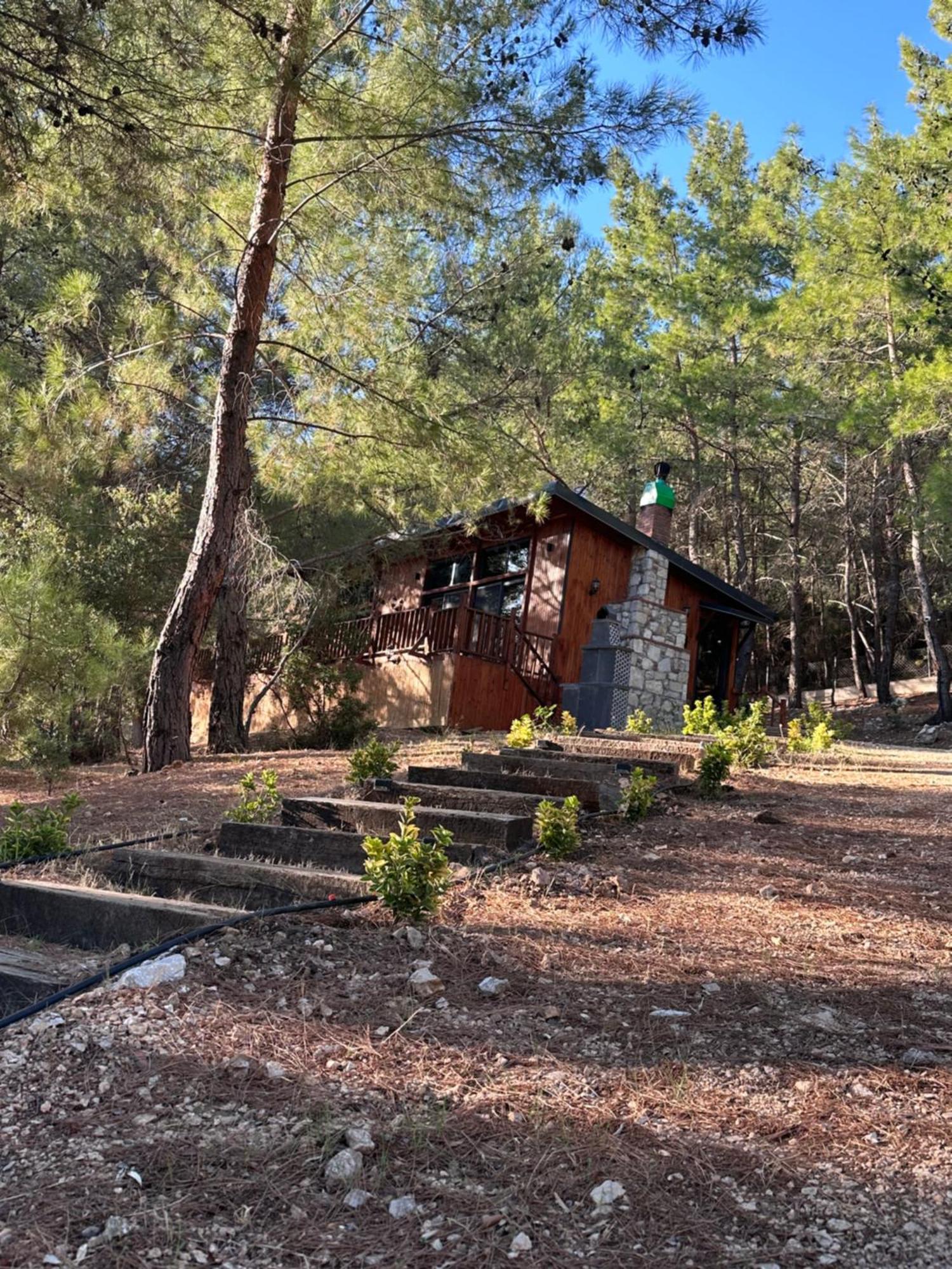 Panurlawoodenhouse Oezel Havuz& Sauna Mavi מראה חיצוני תמונה