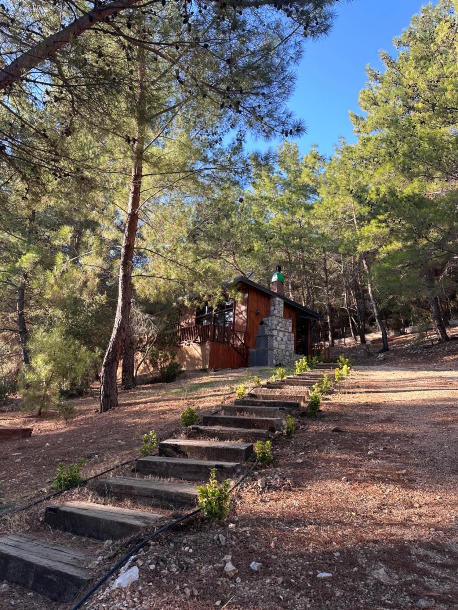 Panurlawoodenhouse Oezel Havuz& Sauna Mavi מראה חיצוני תמונה